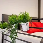 Cool Loft Autocheck Center Historic 3* Valence