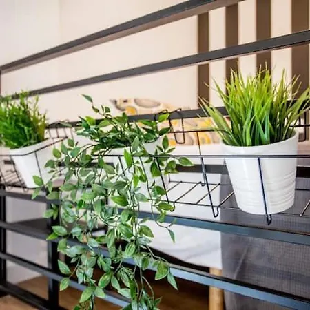 Cool Lofts Center Guest house *