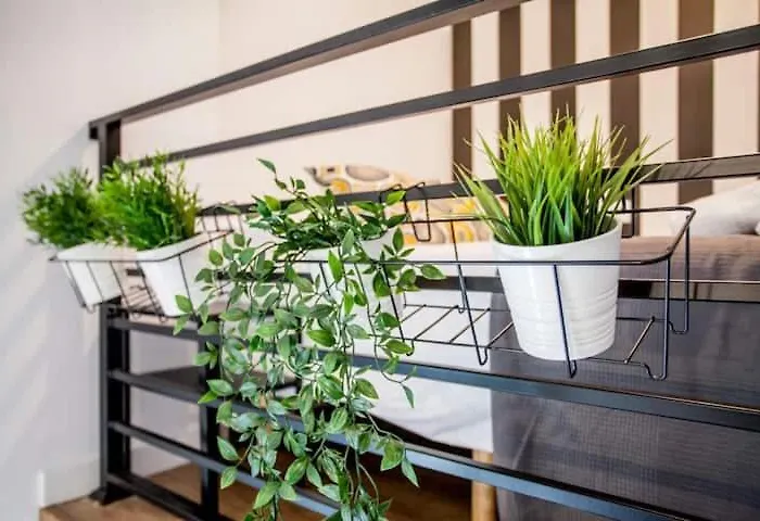 Cool Lofts Center Affittacamere 3*